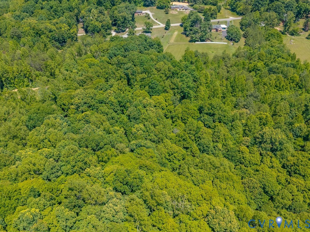 0 Bell Road Powhatan, VA 23139 - Photo 10 of 21