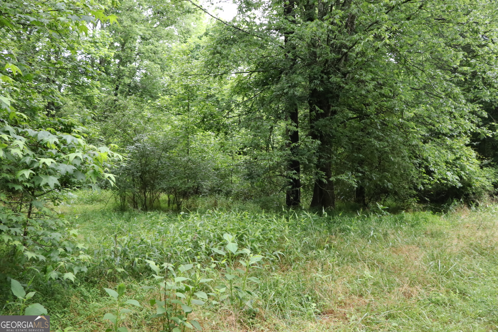 833 Neal Gap Road Summerville, GA 30747 - Photo 30 of 86