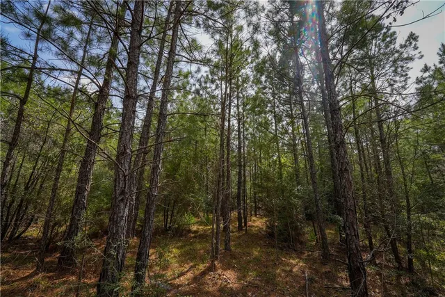 $53,000 | 87 N Highway, Newton, TX 75966