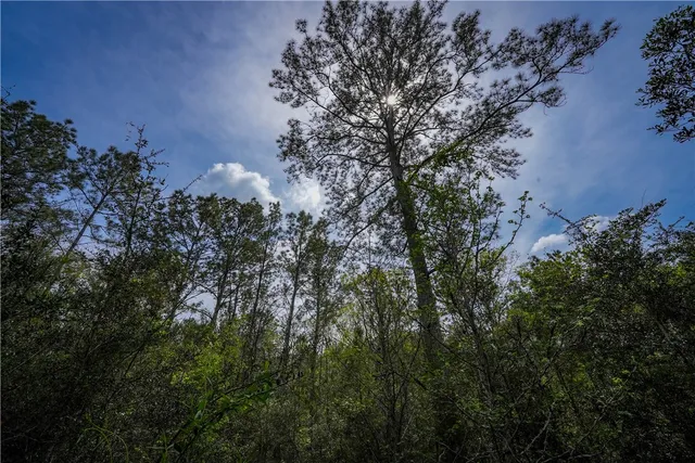 $53,000 | 87 N Highway, Newton, TX 75966