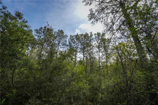 $53,000 | 87 N Highway, Newton, TX 75966