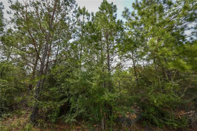 $53,000 | 87 N Highway, Newton, TX 75966