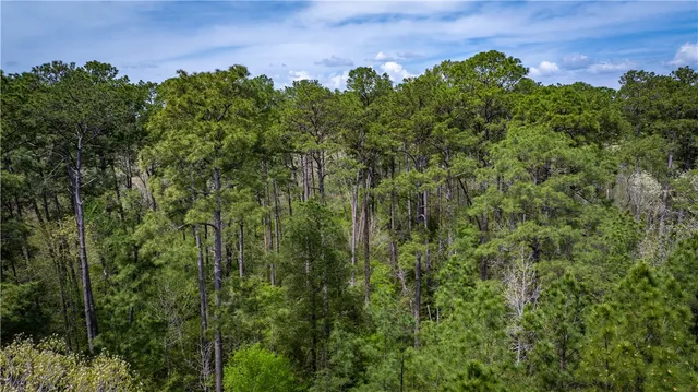 $53,000 | 87 N Highway, Newton, TX 75966