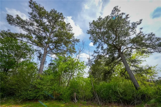 $53,000 | 87 N Highway, Newton, TX 75966