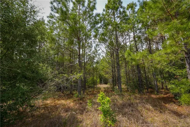 $53,000 | 87 N Highway, Newton, TX 75966