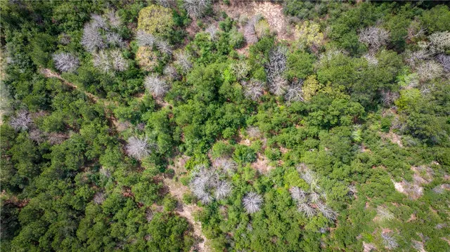 $53,000 | 87 N Highway, Newton, TX 75966