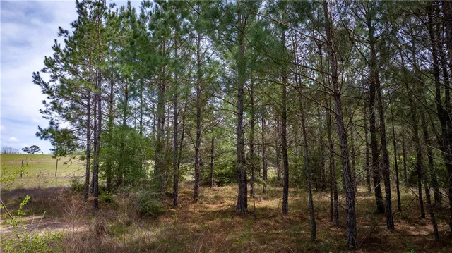 $53,000 | 87 N Highway, Newton, TX 75966