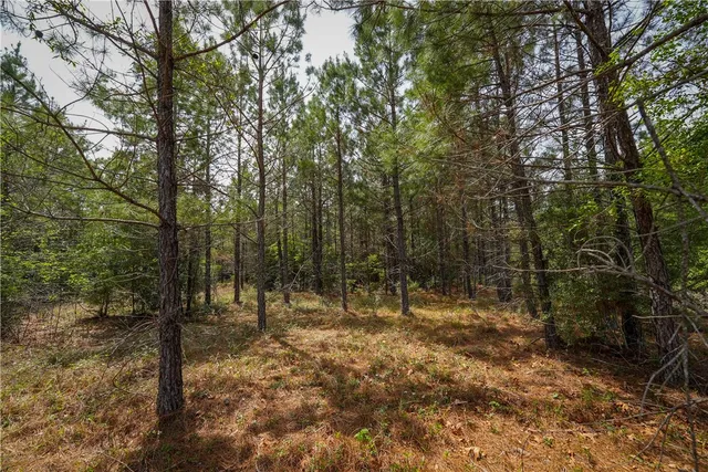 $53,000 | 87 N Highway, Newton, TX 75966