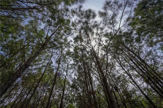 $53,000 | 87 N Highway, Newton, TX 75966