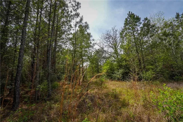 $53,000 | 87 N Highway, Newton, TX 75966