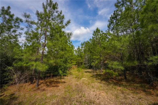 $53,000 | 87 N Highway, Newton, TX 75966