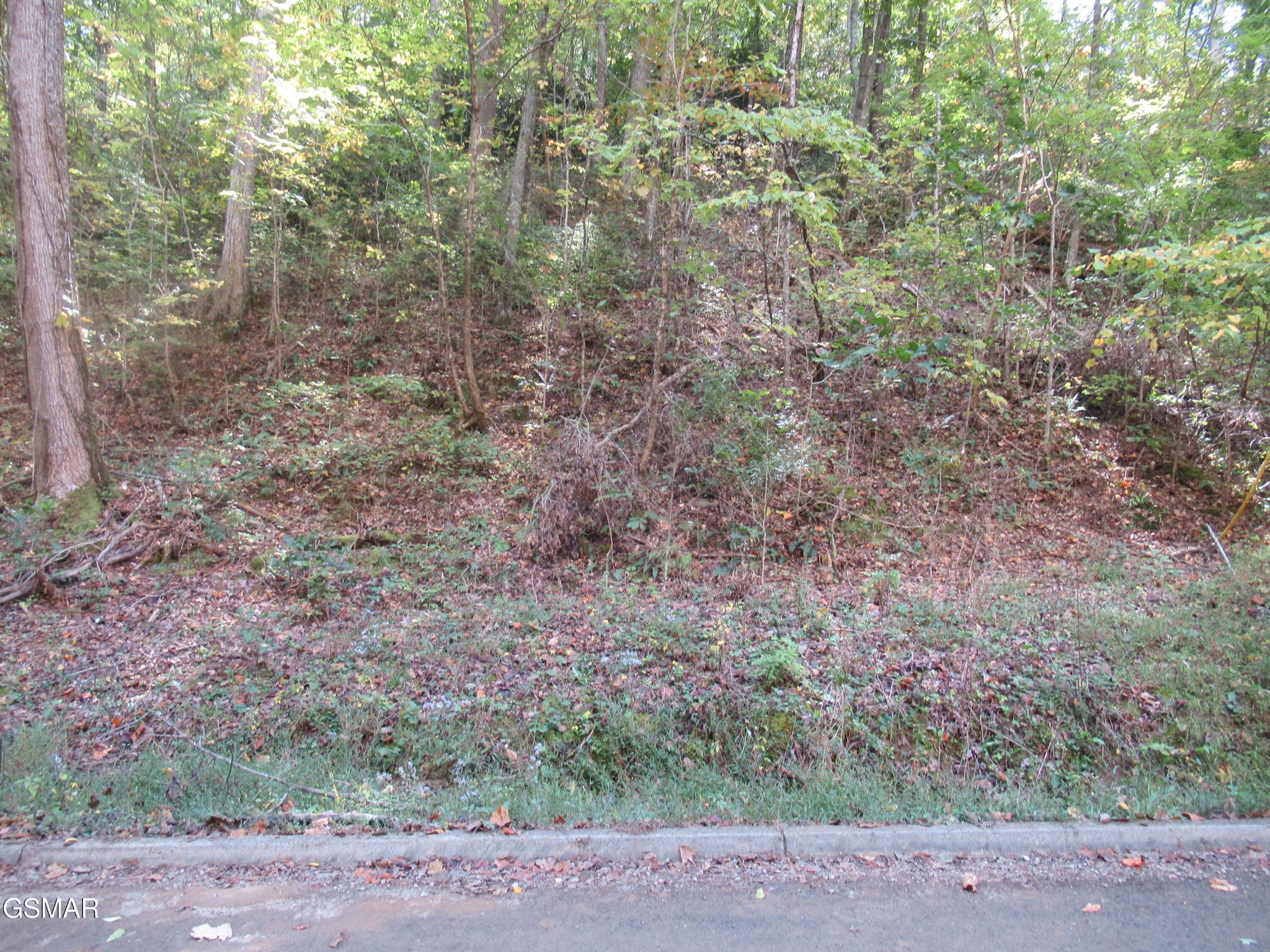 114 Bear Valley Road Sevierville, TN 37876 - Photo 3 of 16 Gallery Image 3