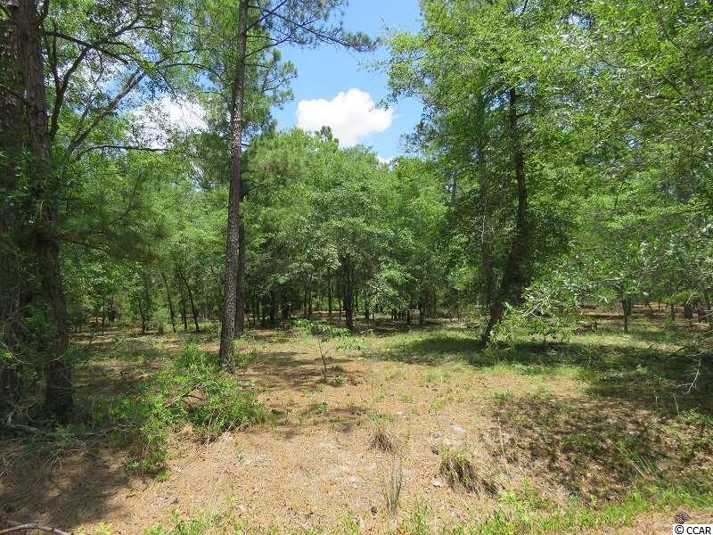 0 Mote Fields Road Harrells, NC 28444 - Photo 2 of 6