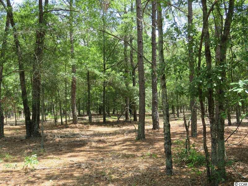 0 Mote Fields Road Harrells, NC 28444 - Photo 5 of 6