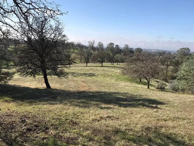 0 Lanford Pacheco Road Valley Springs, CA 95252 - Photo 7 of 26