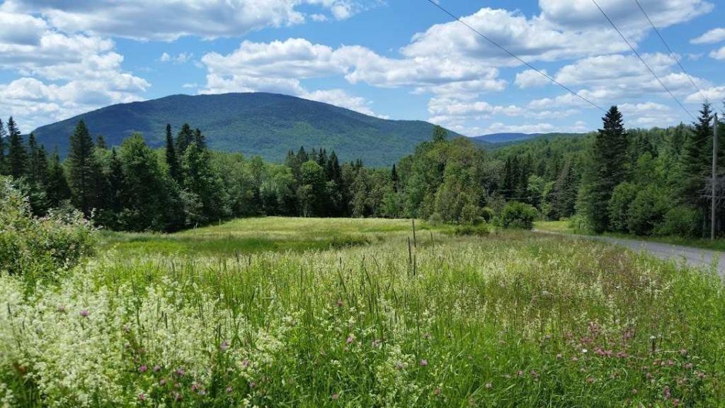 Lot 9 Hodge Road Colebrook, NH 03576 - Photo 8 of 9 Photo
