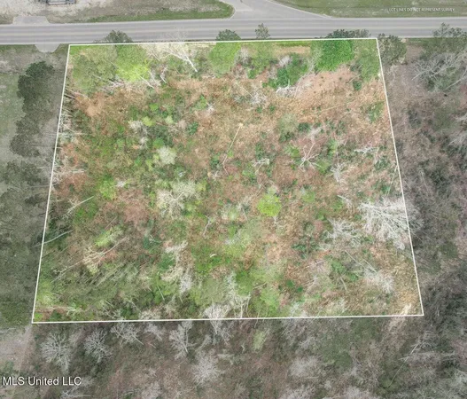 $50,000 | Lot 1 Bridgewater Subdivision, Sumrall, MS 39482