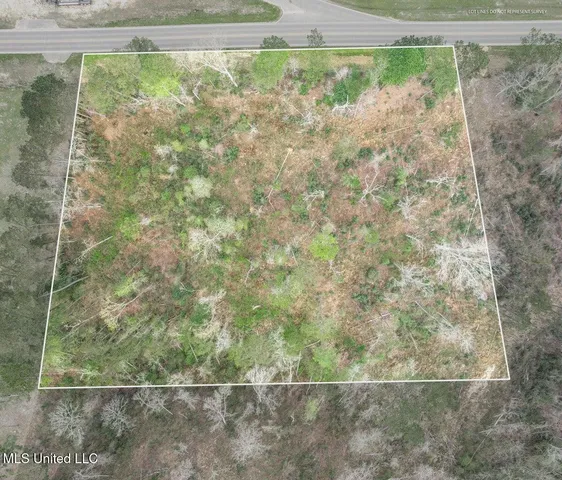$80,000 | Lot 1 Bridgewater Subdivision, Sumrall, MS 39482