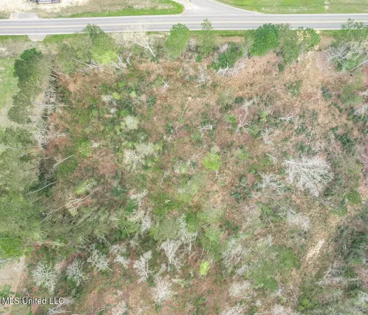 $50,000 | Lot 1 Bridgewater Subdivision, Sumrall, MS 39482