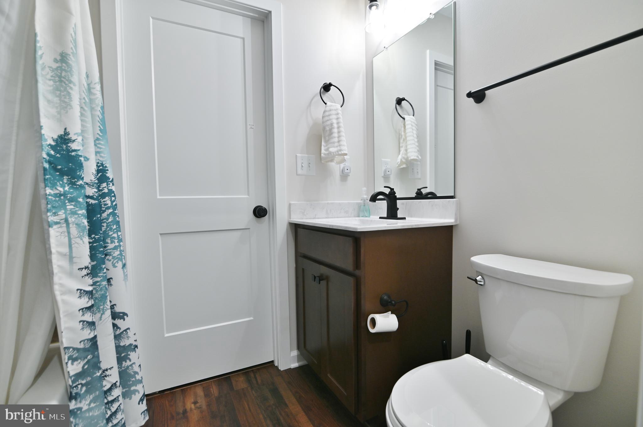 5448 Crooked Run Road Mount Jackson, VA 22842 - Photo 31 of 67 a bathroom with a toilet a sink a mirror a vanity and window