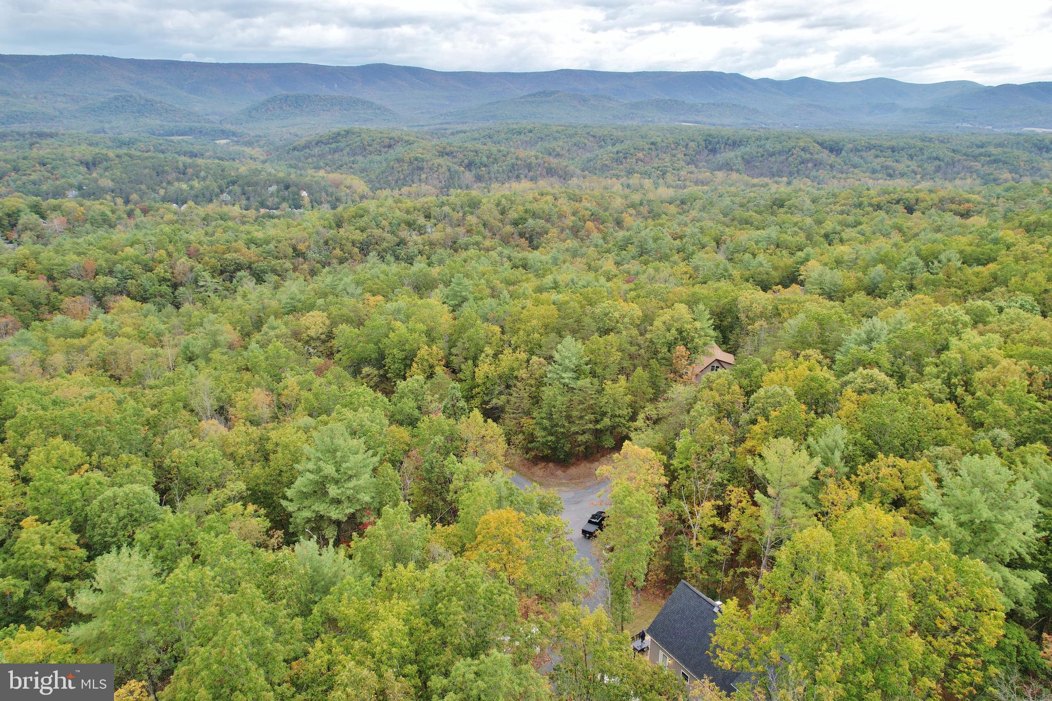 5448 Crooked Run Road Mount Jackson, VA 22842 - Photo 4 of 67