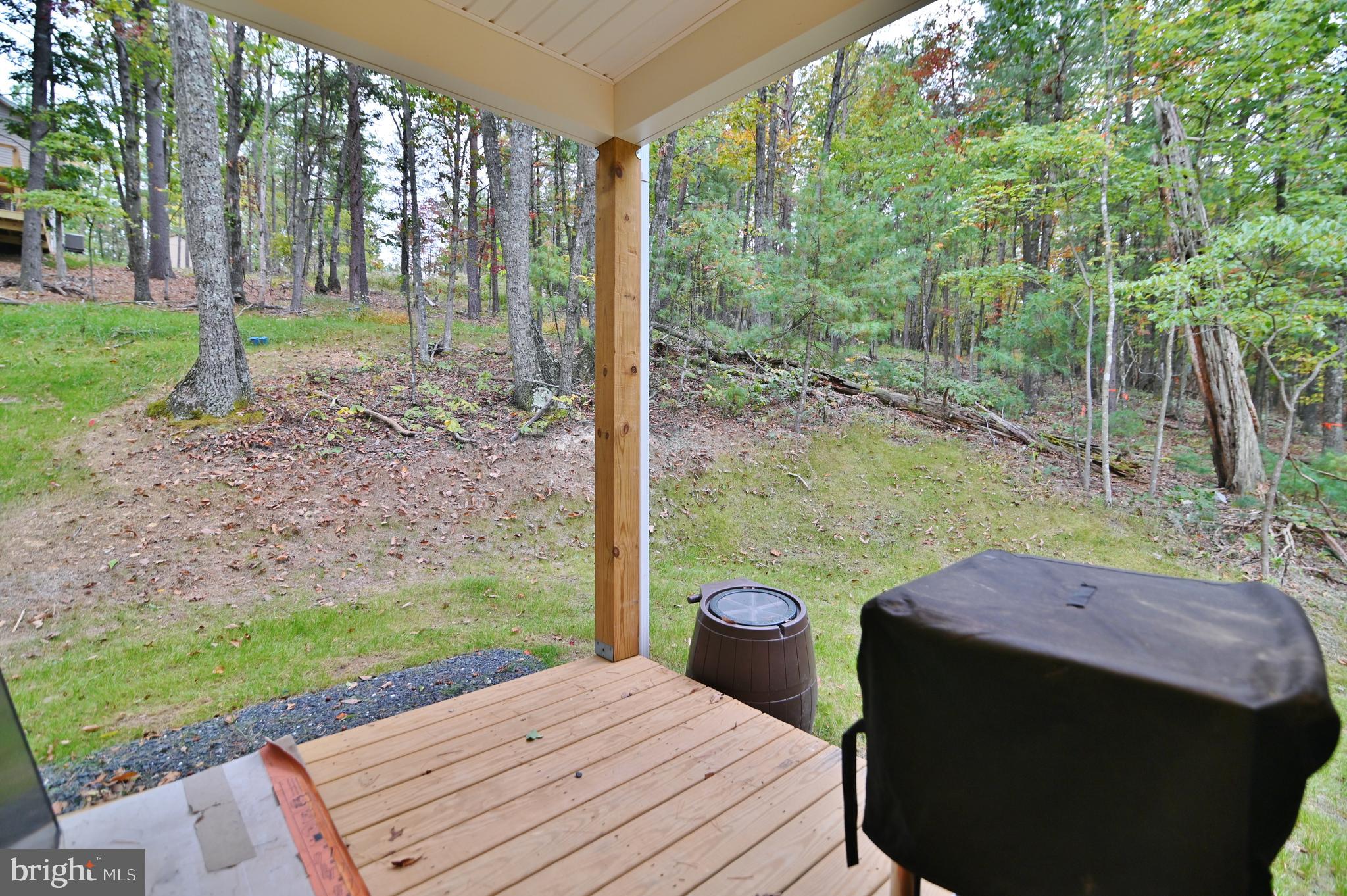 5448 Crooked Run Road Mount Jackson, VA 22842 - Photo 41 of 67 a view of a backyard with table and chairs potted plants with sky view