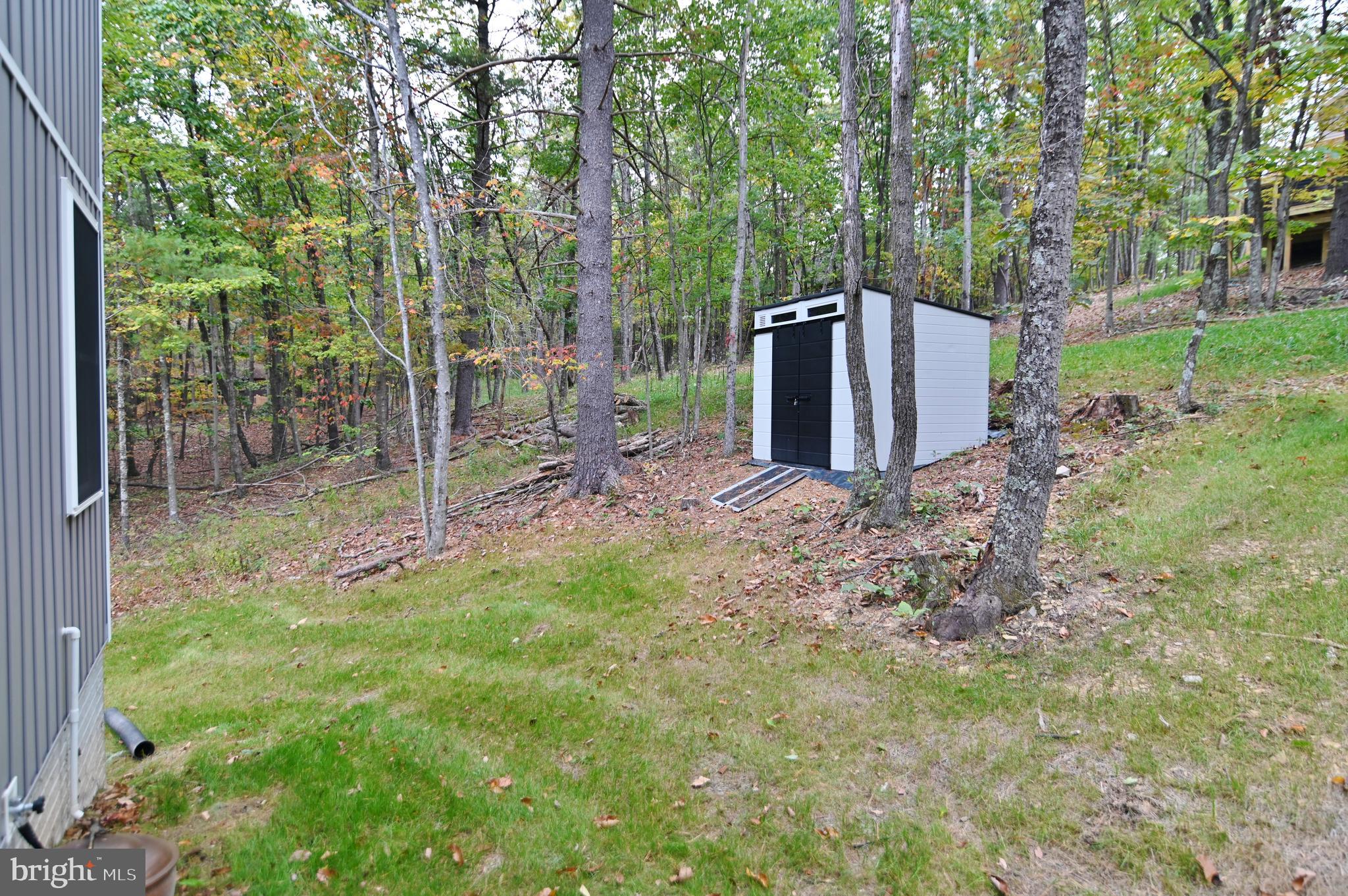 5448 Crooked Run Road Mount Jackson, VA 22842 - Photo 60 of 67 a view of a tiny house with a yard and tree