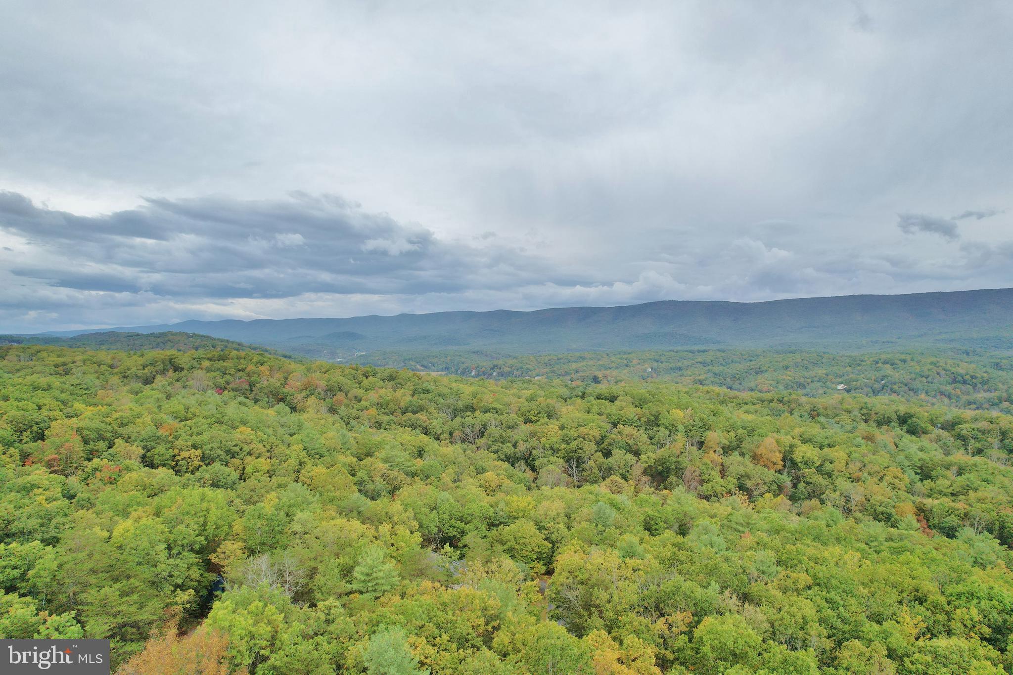 5448 Crooked Run Road Mount Jackson, VA 22842 - Photo 64 of 67