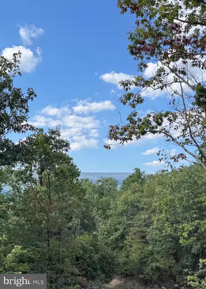 5448 Crooked Run Road Mount Jackson, VA 22842 - Photo 66 of 67 a view of a house with a yard