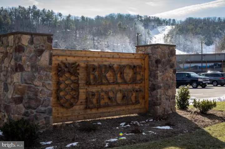 5448 Crooked Run Road Mount Jackson, VA 22842 - Photo 67 of 67 a view of street with large tree