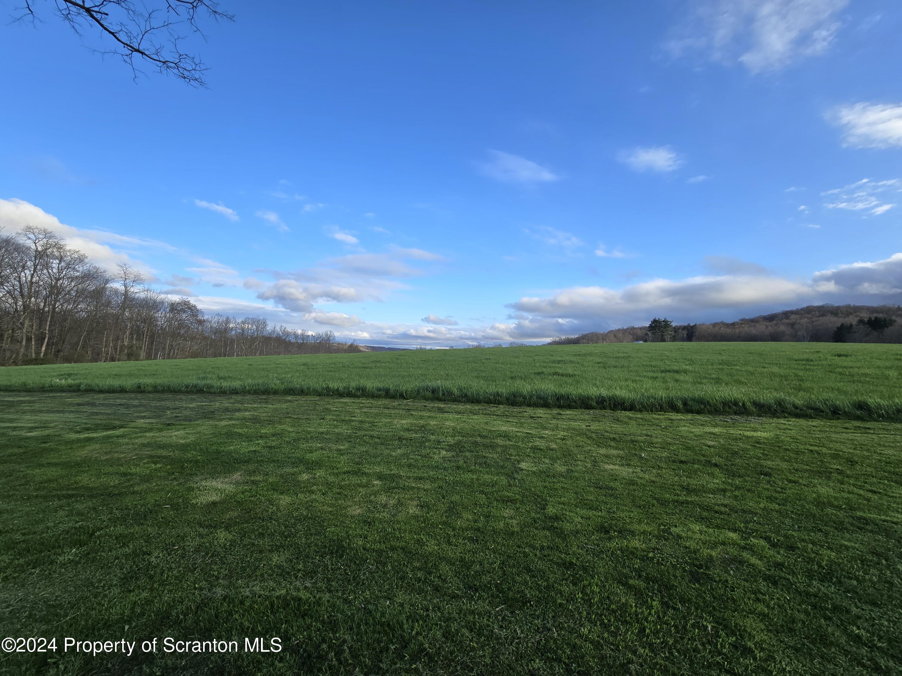6736 Kingsley Road Kingsley, PA 18826 - Photo 40 of 42 a view of field with grass and mountain view