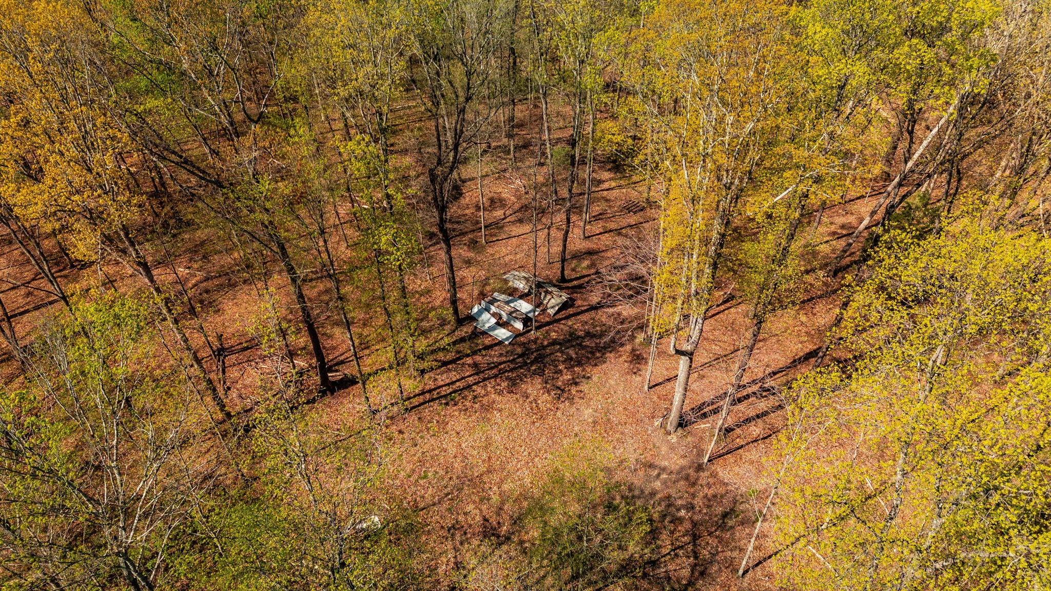 664 South Tunnel Road Gallatin, TN 37066 - Photo 11 of 46