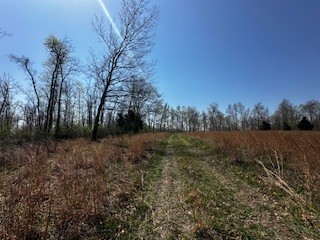 664 South Tunnel Road Gallatin, TN 37066 - Photo 12 of 46