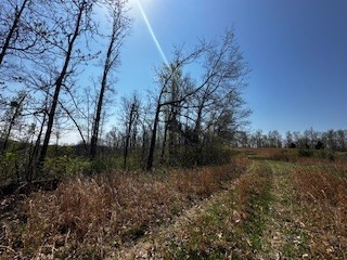 664 South Tunnel Road Gallatin, TN 37066 - Photo 15 of 46