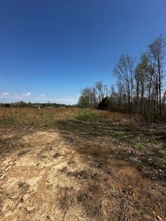 664 South Tunnel Road Gallatin, TN 37066 - Photo 17 of 46