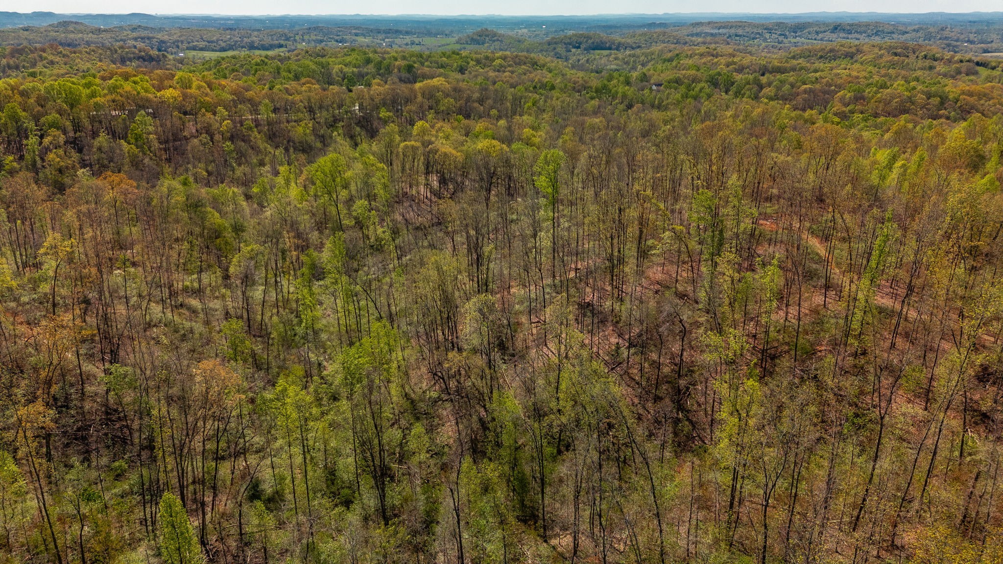 664 South Tunnel Road Gallatin, TN 37066 - Photo 26 of 46