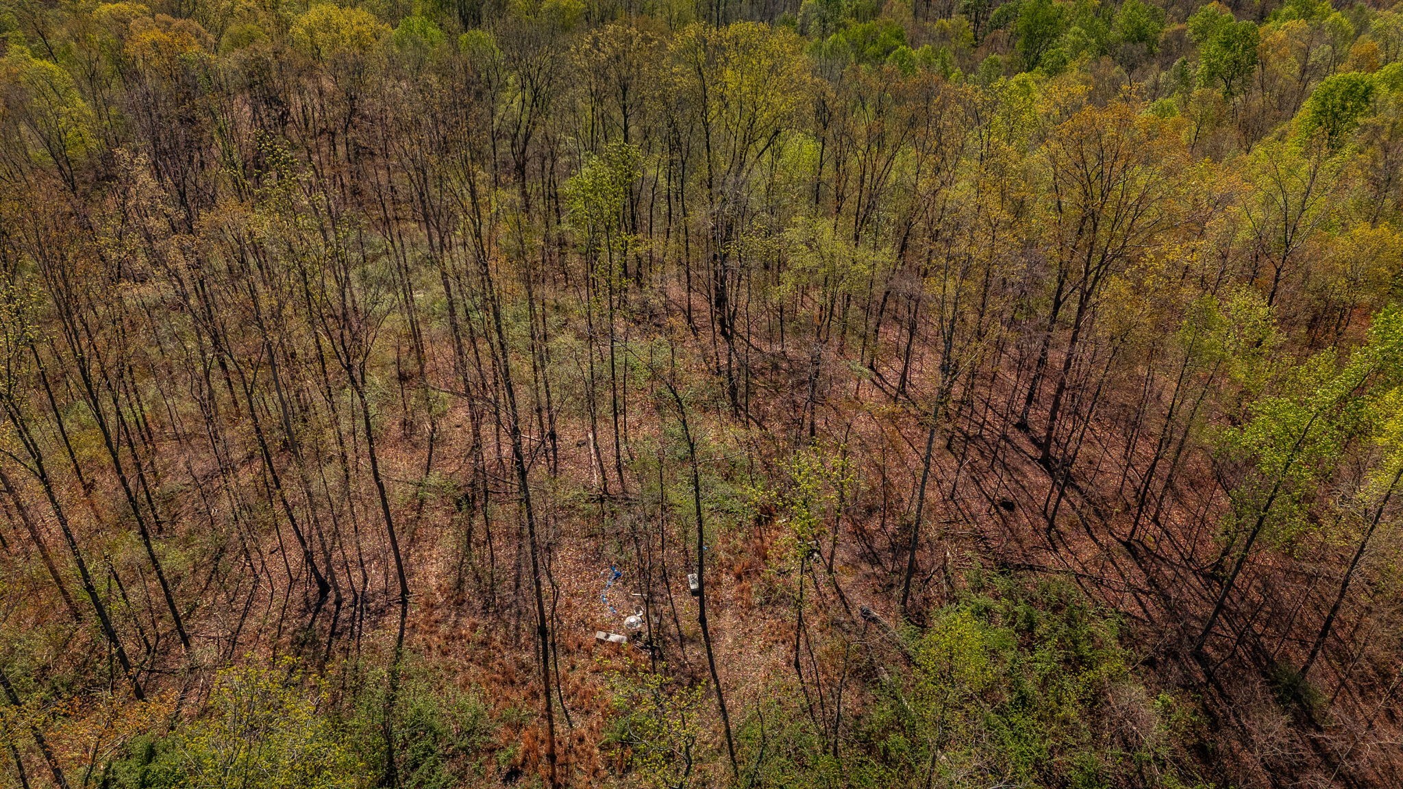 664 South Tunnel Road Gallatin, TN 37066 - Photo 28 of 46