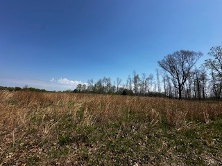 664 South Tunnel Road Gallatin, TN 37066 - Photo 3 of 46