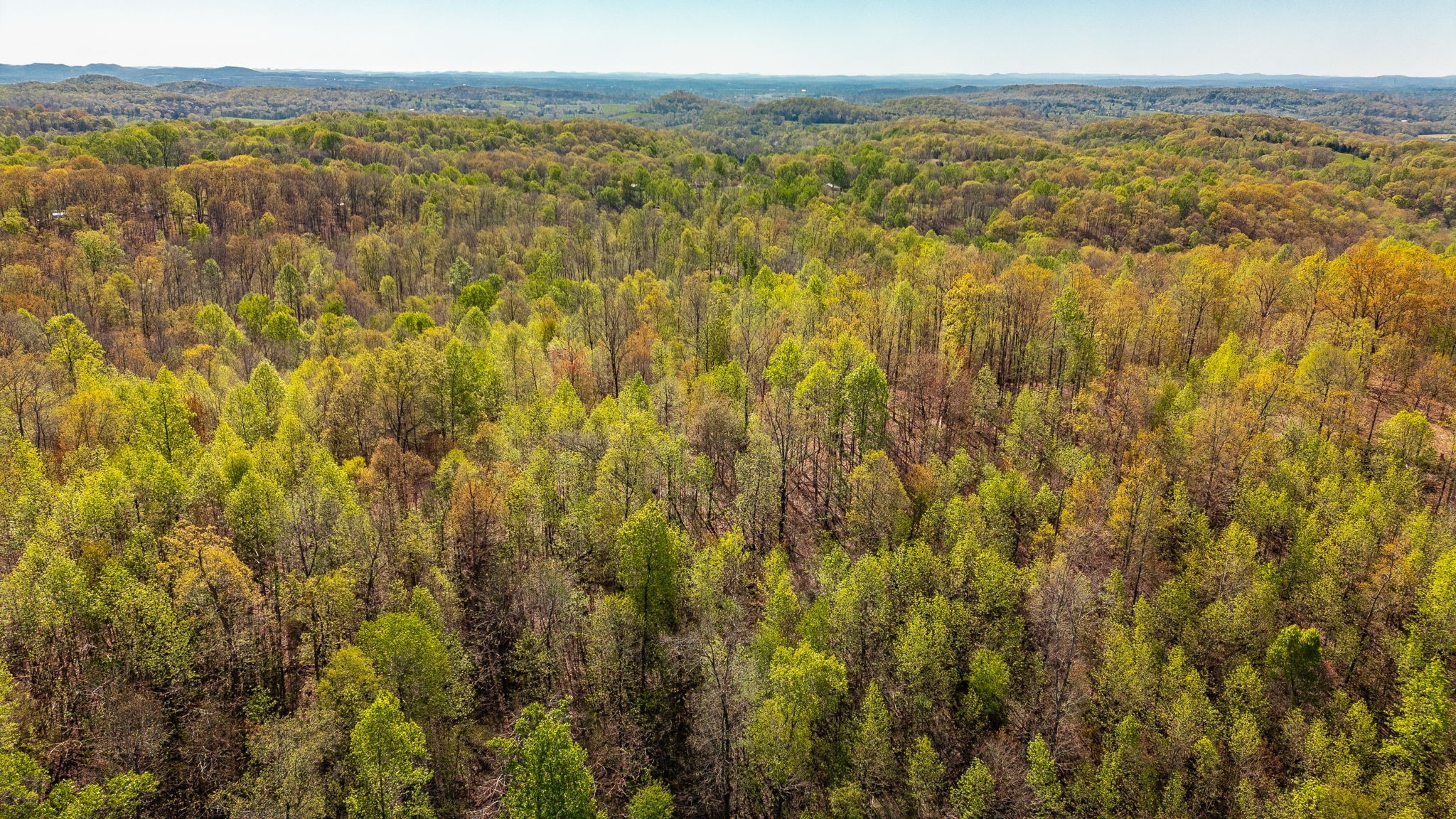 664 South Tunnel Road Gallatin, TN 37066 - Photo 31 of 46