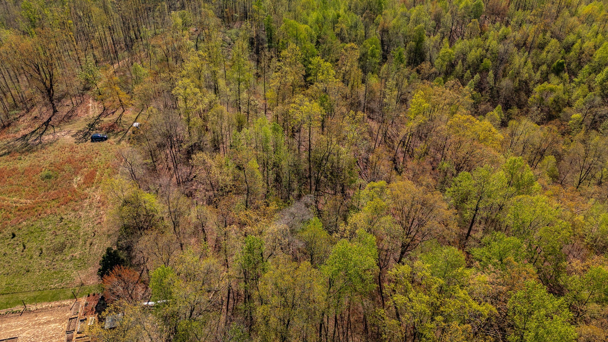 664 South Tunnel Road Gallatin, TN 37066 - Photo 33 of 46