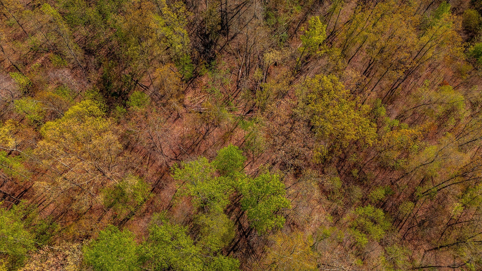 664 South Tunnel Road Gallatin, TN 37066 - Photo 34 of 46