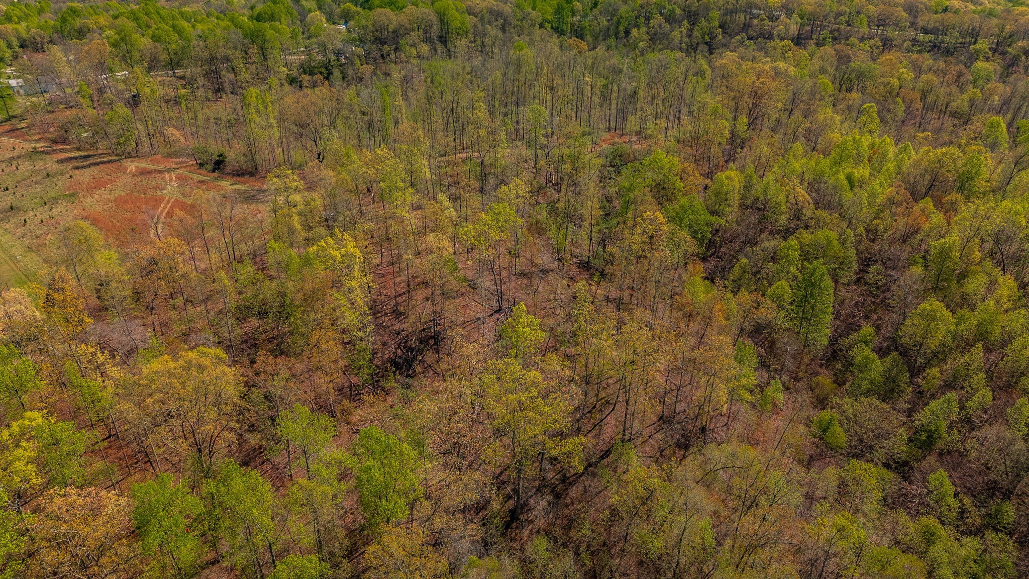 664 South Tunnel Road Gallatin, TN 37066 - Photo 35 of 46