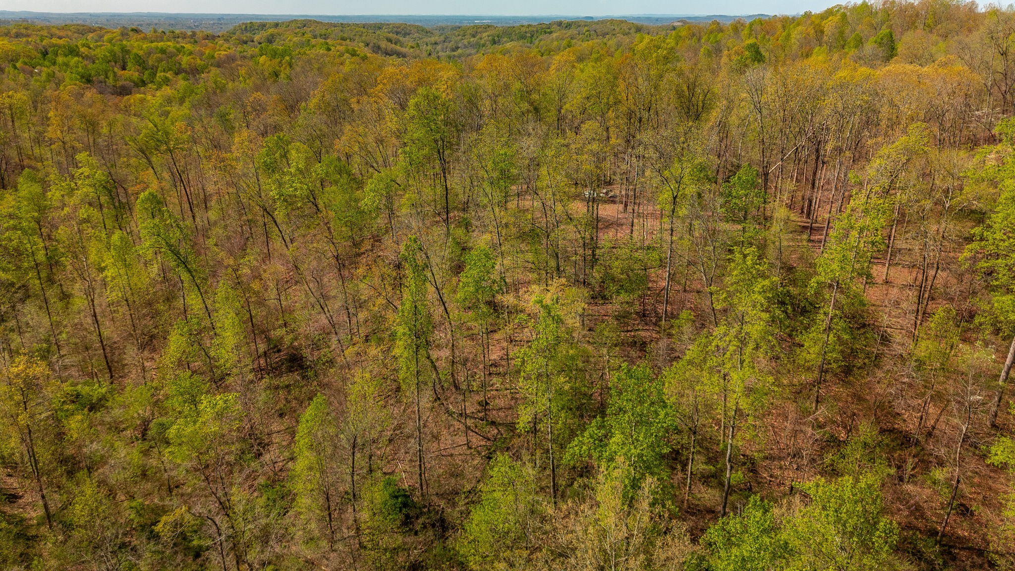 664 South Tunnel Road Gallatin, TN 37066 - Photo 40 of 46