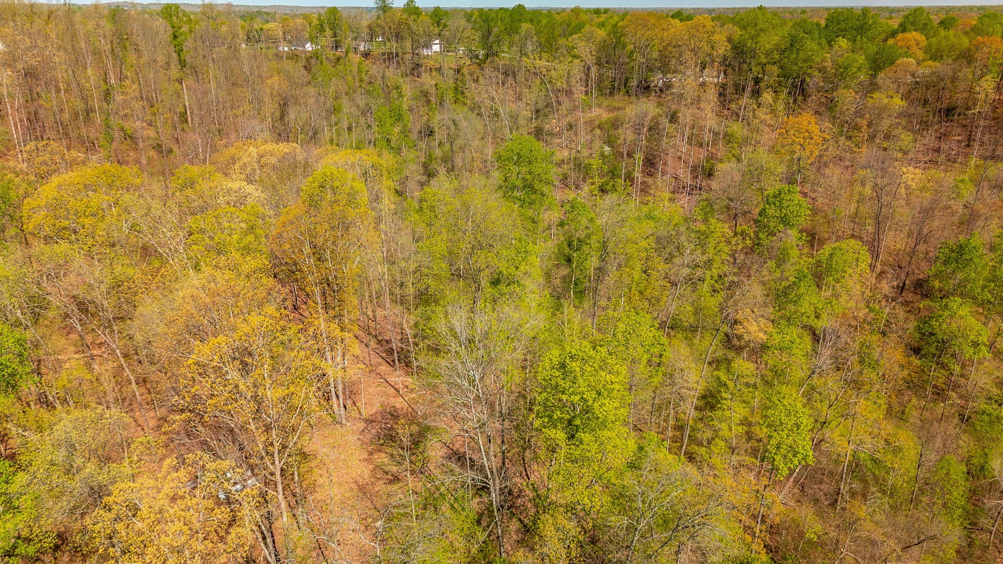 664 South Tunnel Road Gallatin, TN 37066 - Photo 41 of 46