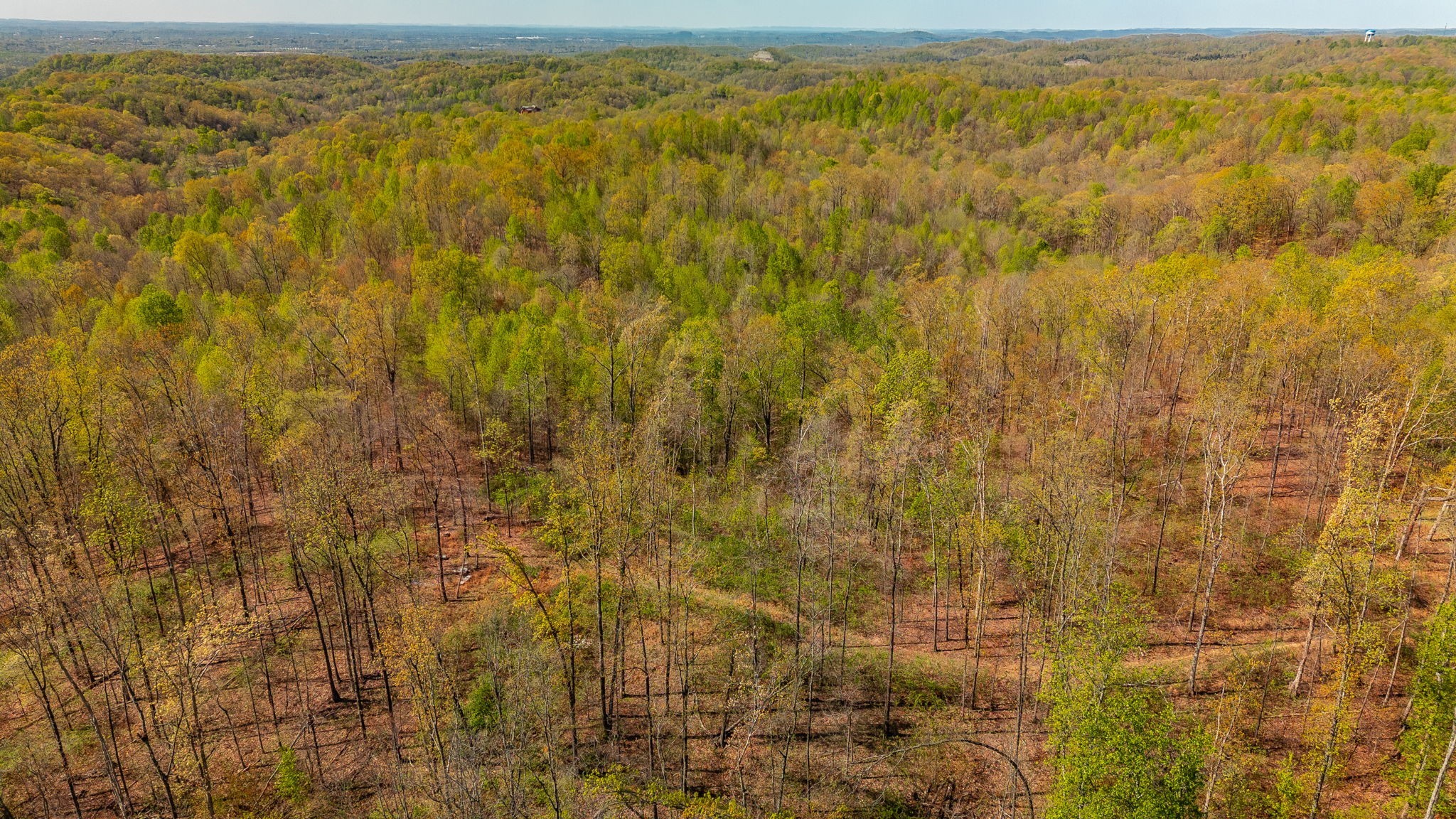 664 South Tunnel Road Gallatin, TN 37066 - Photo 44 of 46