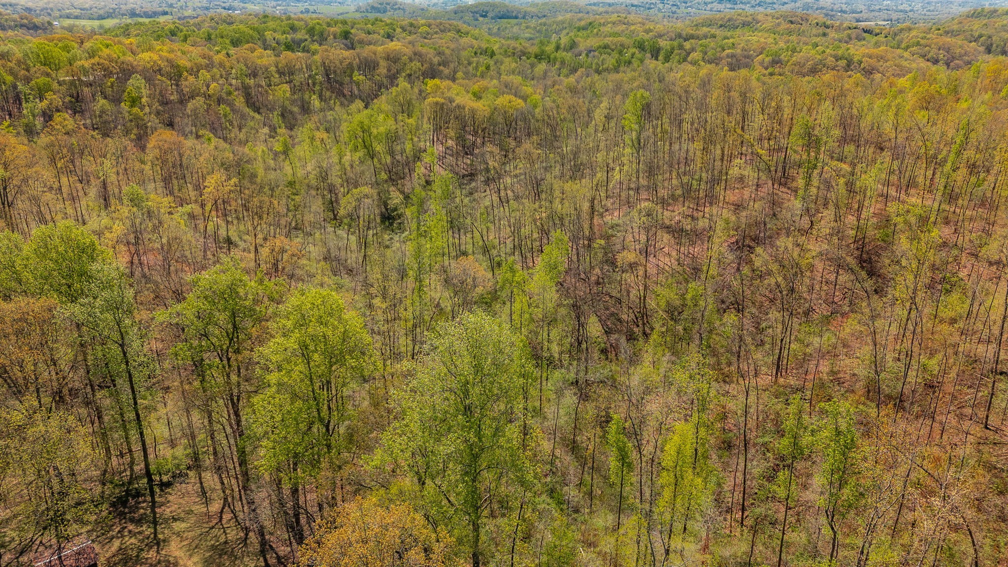 664 South Tunnel Road Gallatin, TN 37066 - Photo 46 of 46