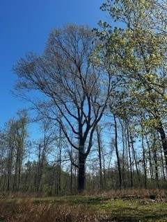 664 South Tunnel Road Gallatin, TN 37066 - Photo 8 of 46