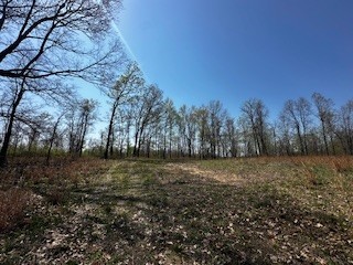 664 South Tunnel Road Gallatin, TN 37066 - Photo 10 of 46