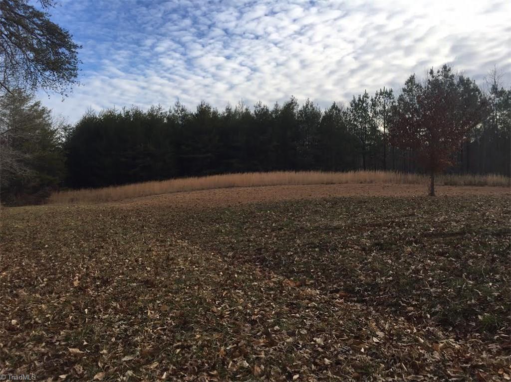1333 George Road Westfield, NC 27053 - Photo 2 of 20 Gallery Image 2