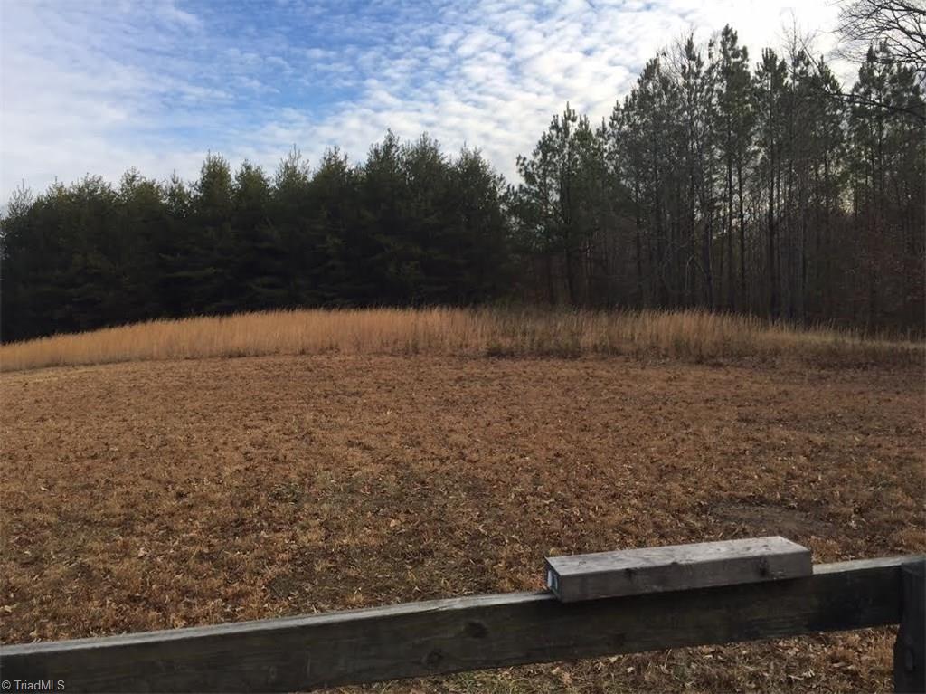 1333 George Road Westfield, NC 27053 - Photo 5 of 20 Gallery Image 5
